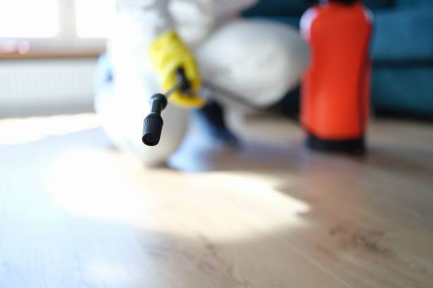 Best Indoor Air Quality Assessment  in Hamshire, TX